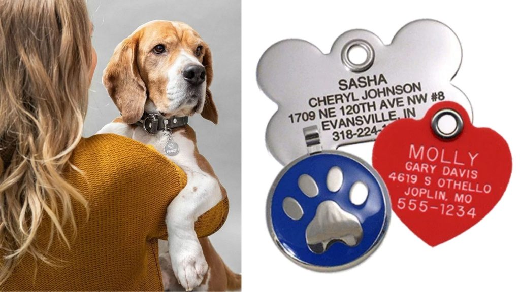 what information needs to be on a dog tag